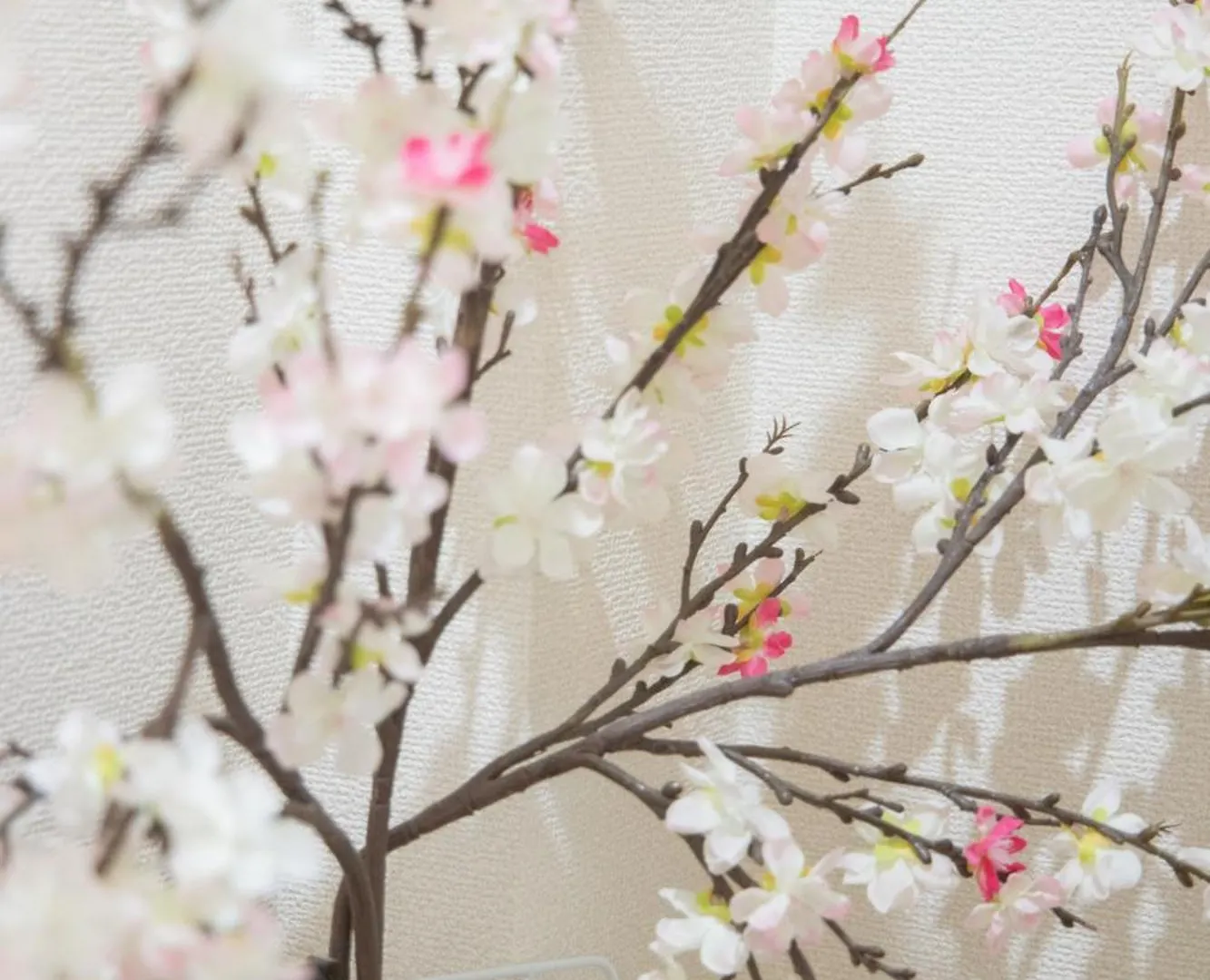 東京都Style Labお花茶屋公寓 0*, 東京都 日本