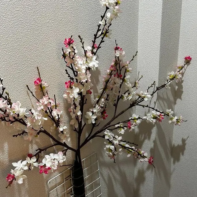 Style Labお花茶屋 Apartment Tokyo Japan