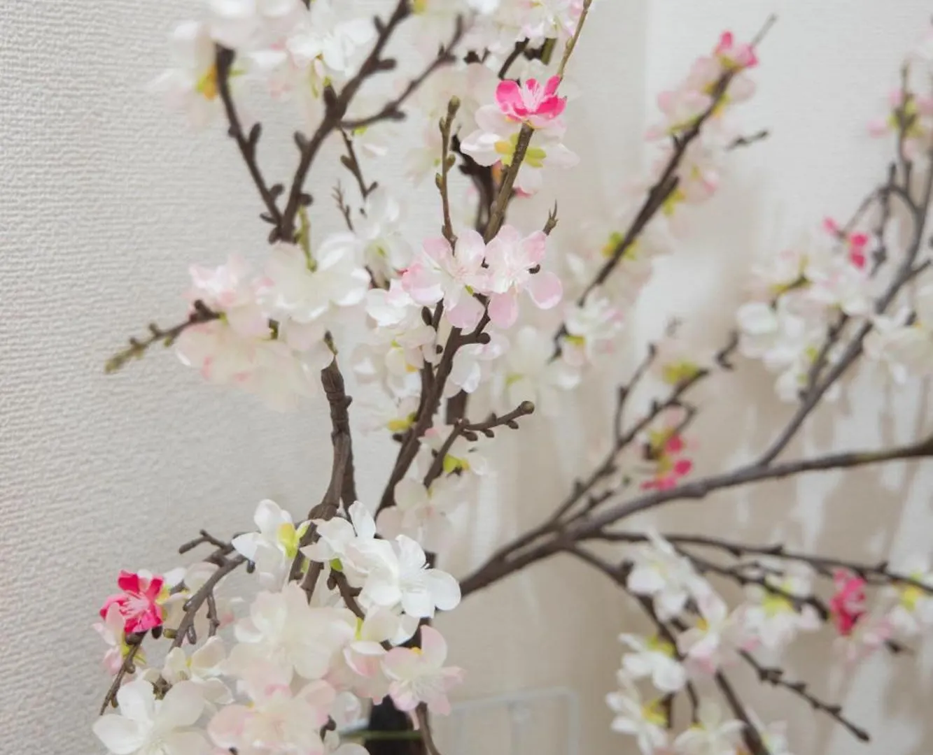 도쿄 Style Labお花茶屋 아파트